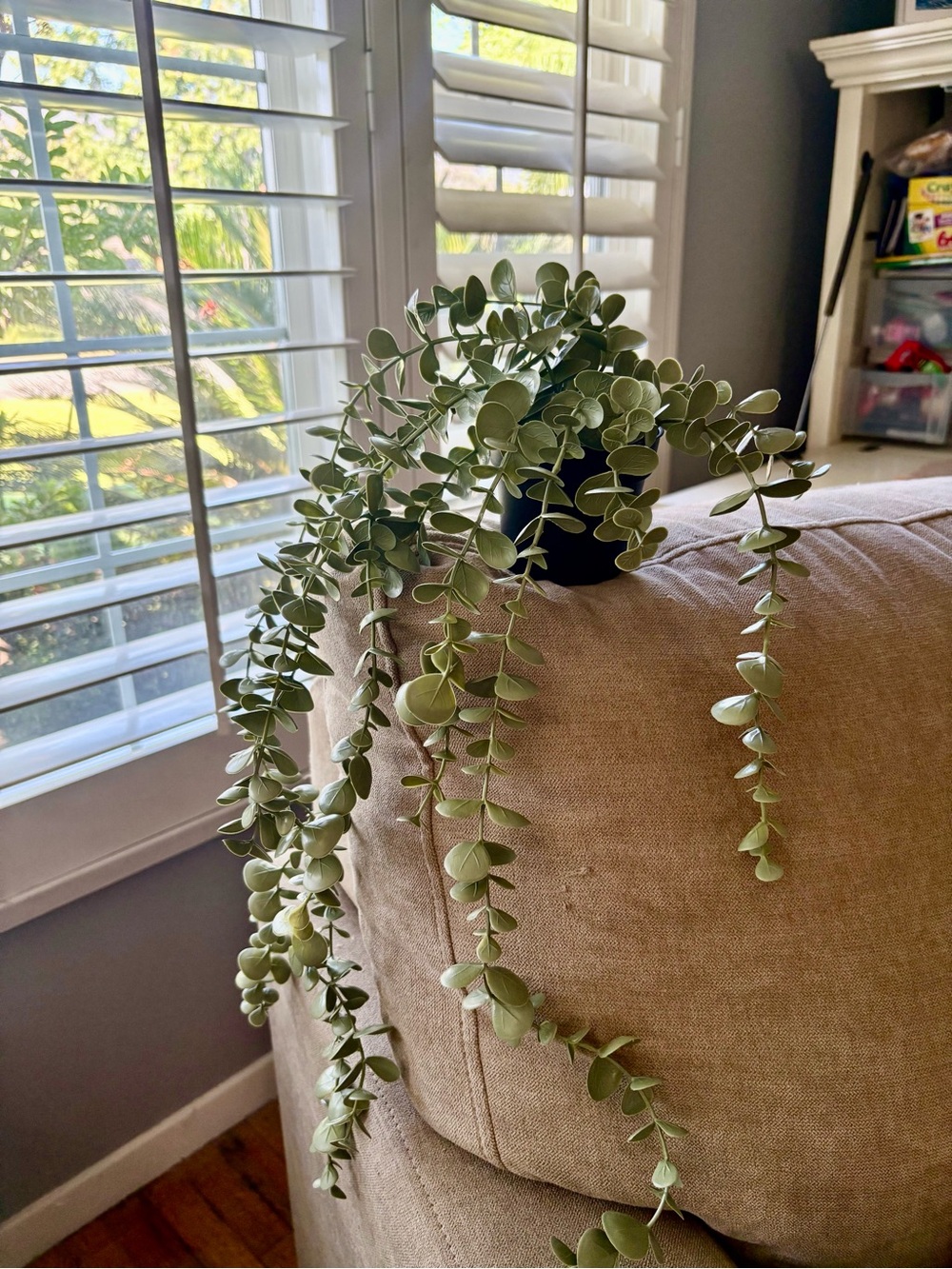 IKEA Hanging Faux Eucalyptus in Sage Green